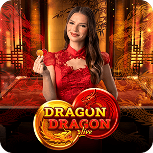 Dragon Dragon
